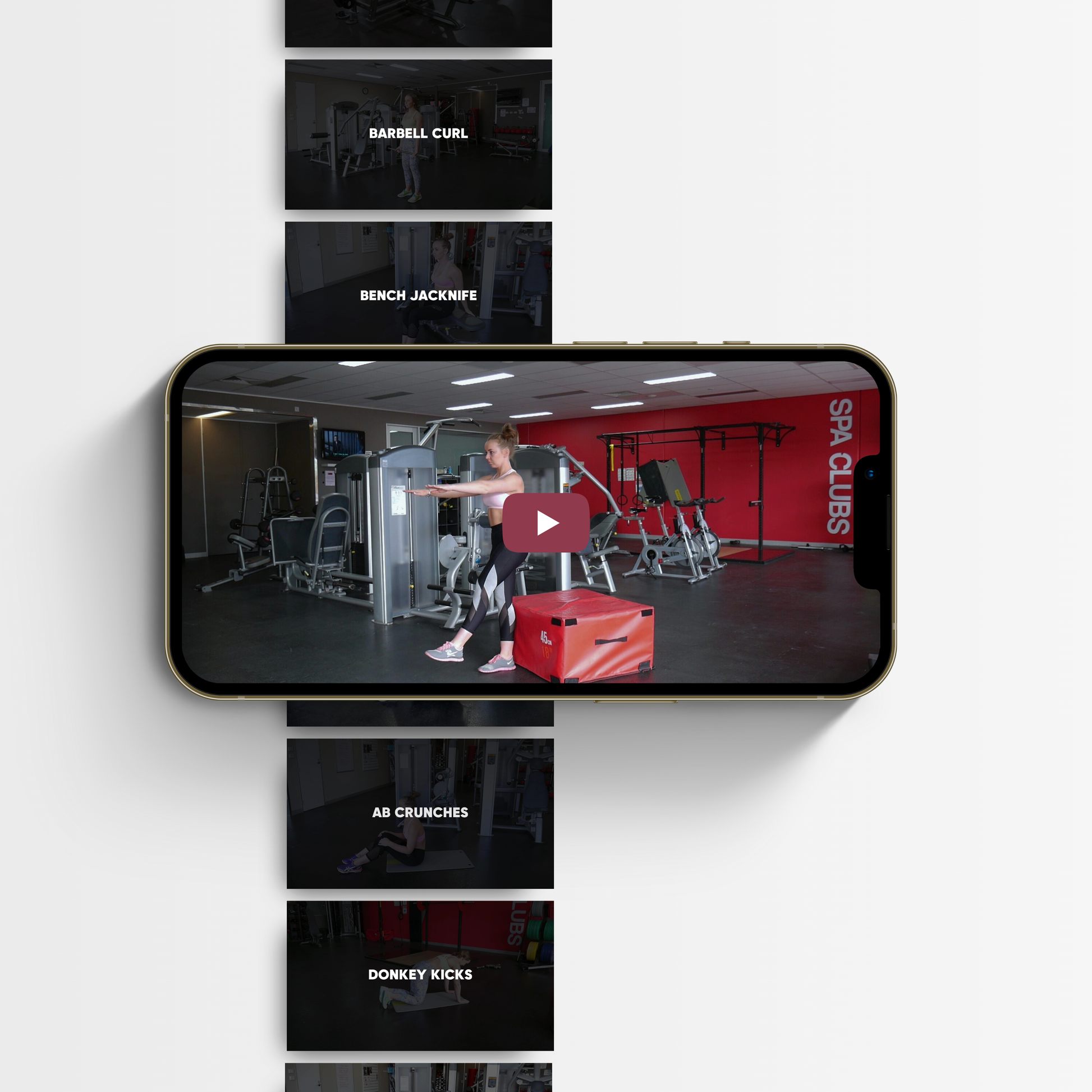 257 Exercise Complete Video Bundle For Women
